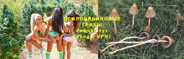 ALPHA PVP Абдулино