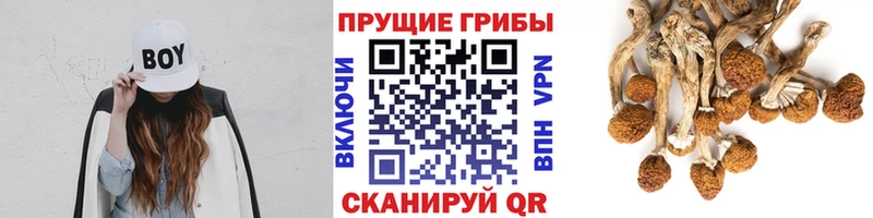 Галлюциногенные грибы MAGIC MUSHROOMS  Абдулино 